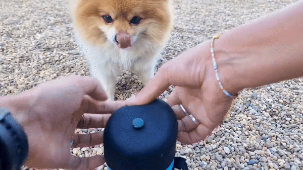 Pet Adventure Hydration Set