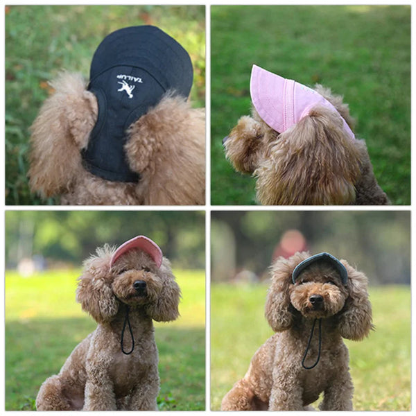 Sunny Paws Pet Cap
